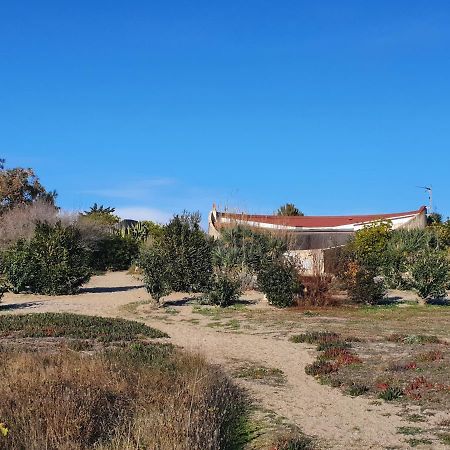 טוריי Maison Ronde Atypique Et Unique מראה חיצוני תמונה